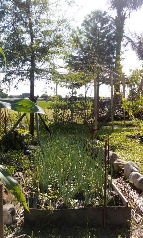 Hasayaki Homestay 三星郷 エクステリア 写真