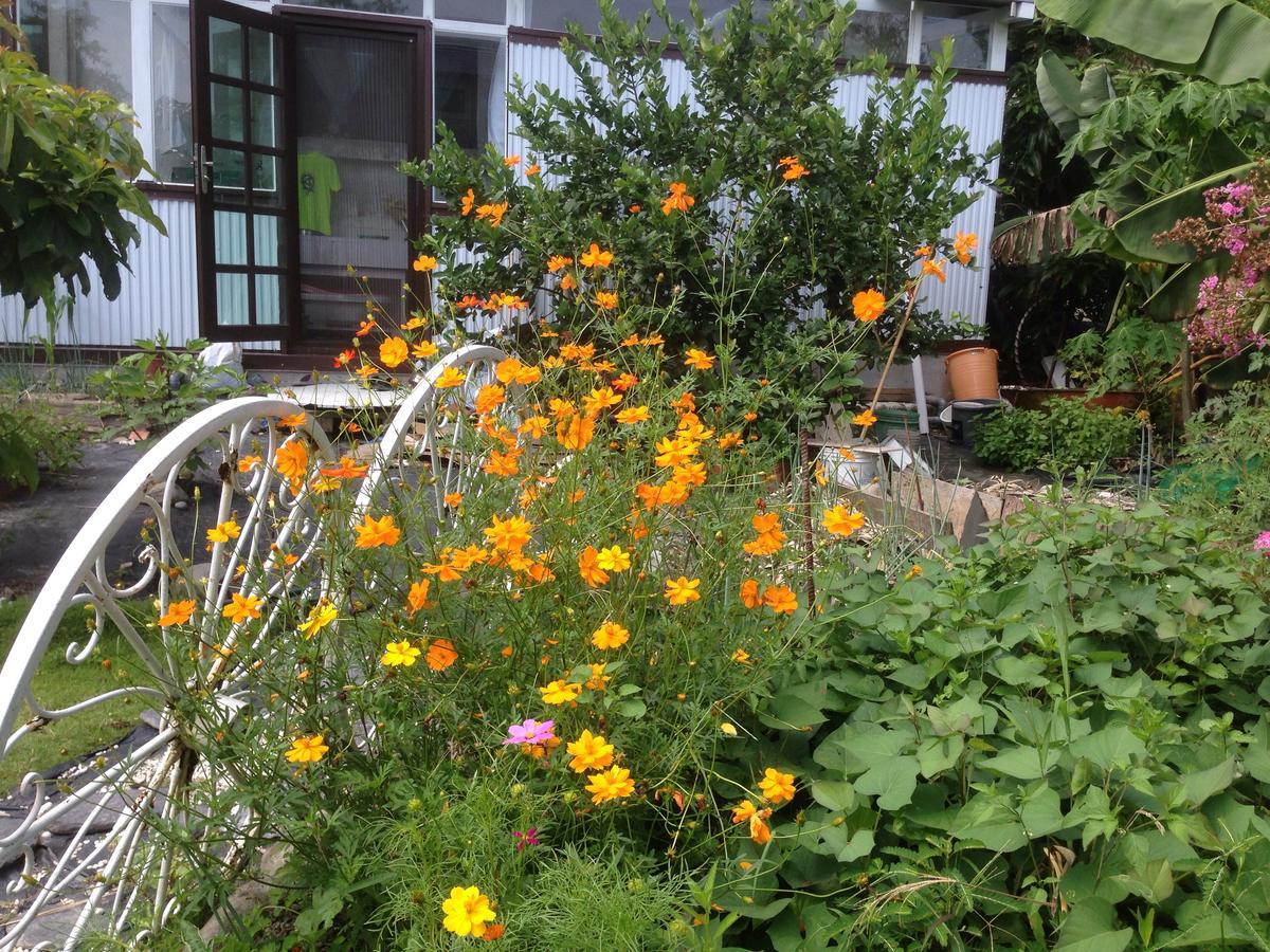 Hasayaki Homestay 三星郷 エクステリア 写真